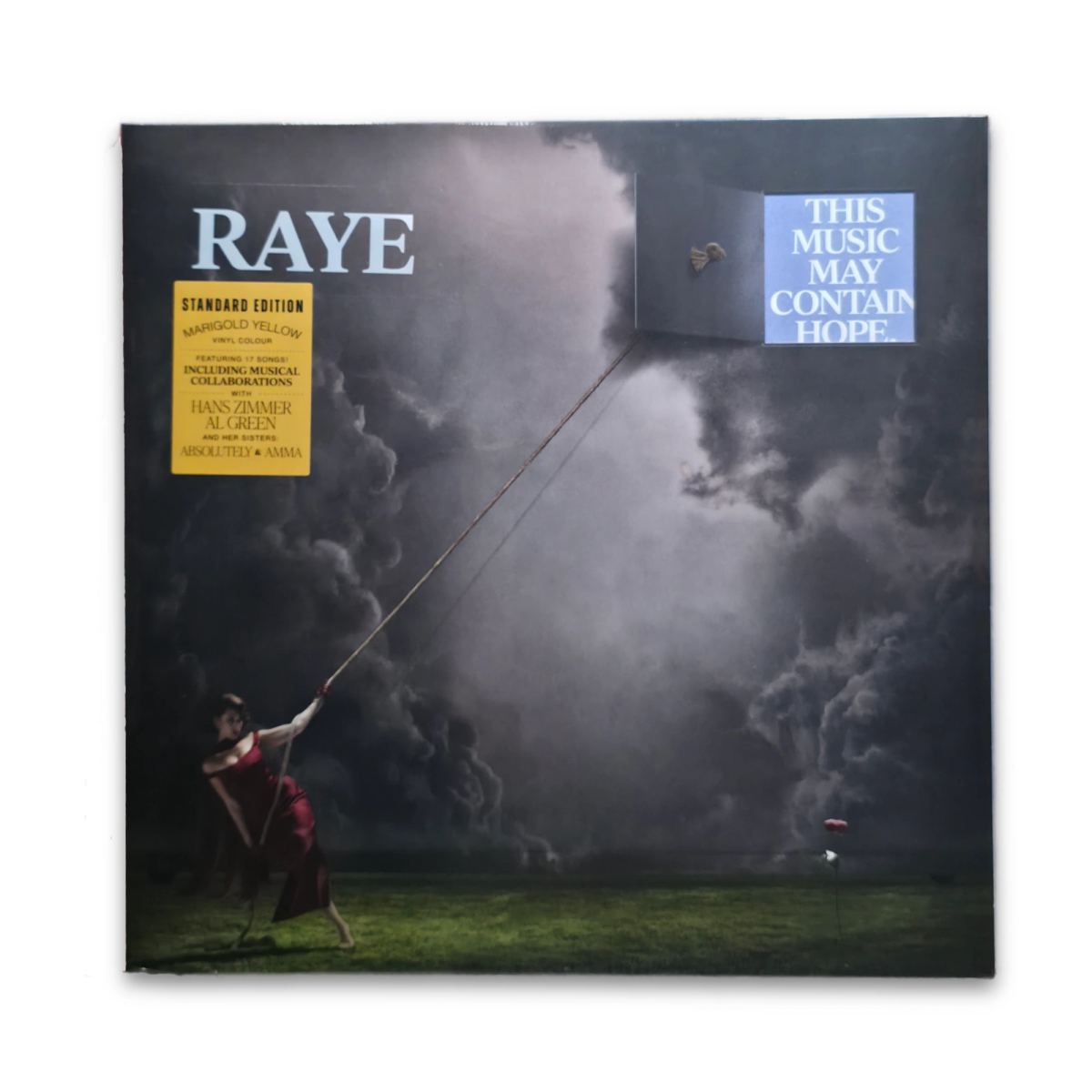 ดู This Music May Contain Hope. โดย Raye