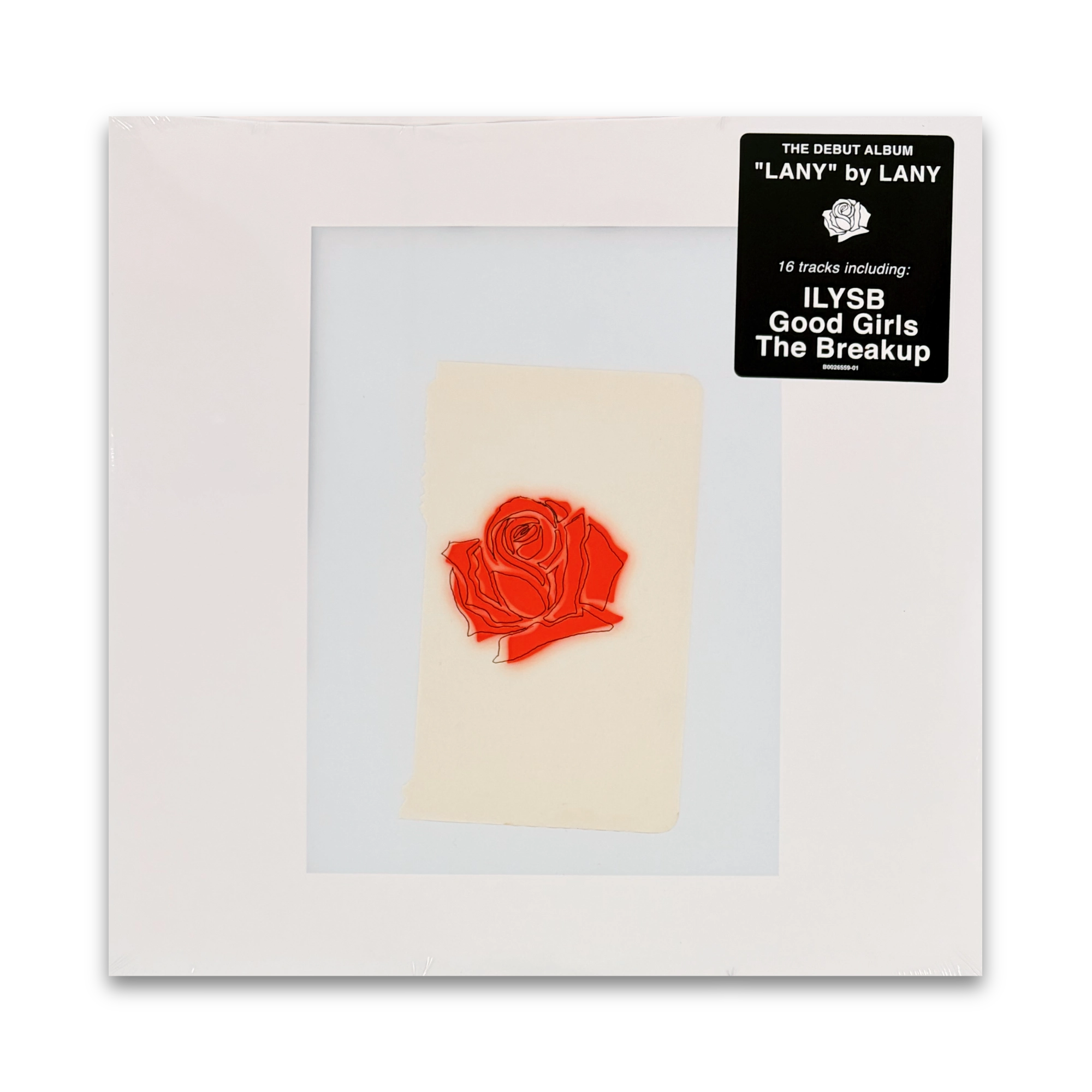 Lany